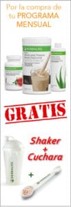 Cuchara + shaker